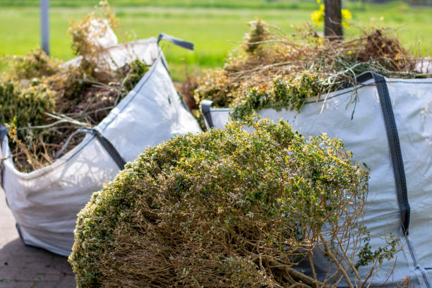 Best Construction Debris Removal  in Conesus Lake, NY